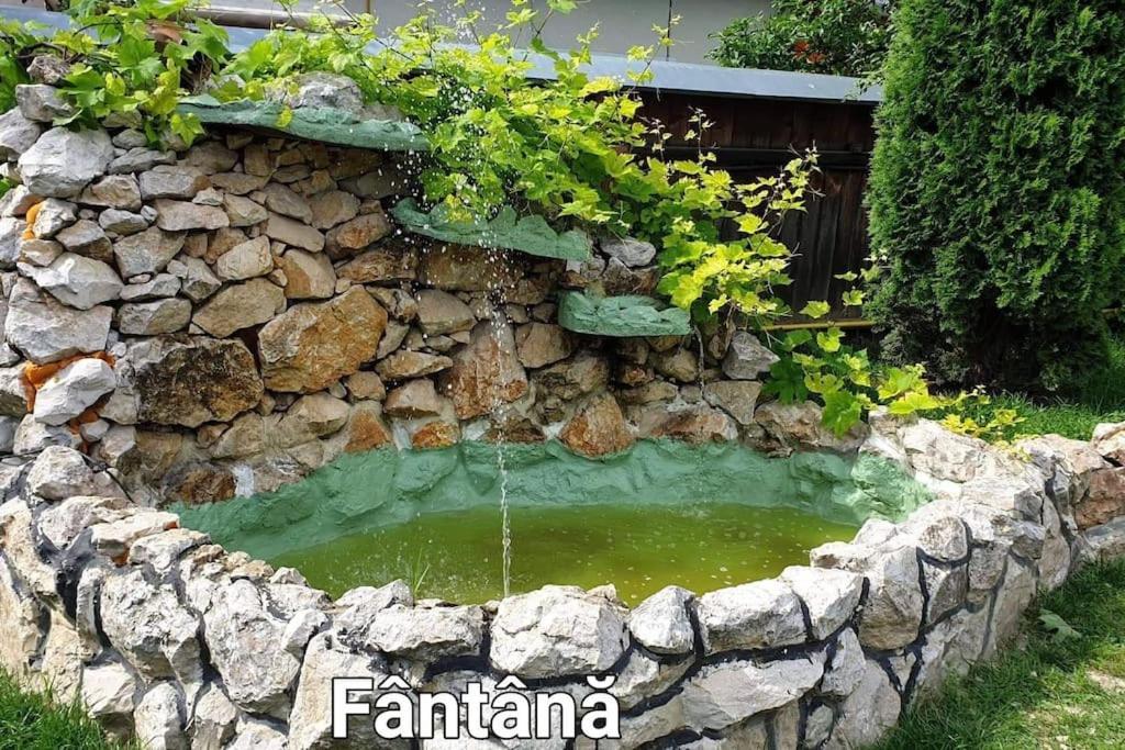 Ciprians' Home Săcele エクステリア 写真